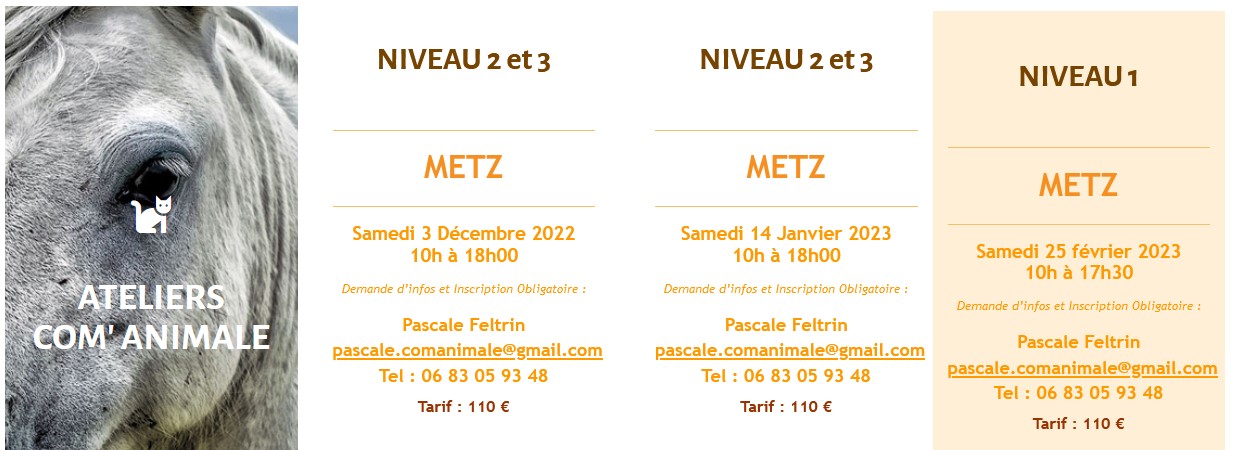 communication animale